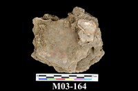 藏品(沼鐵礦)的圖片